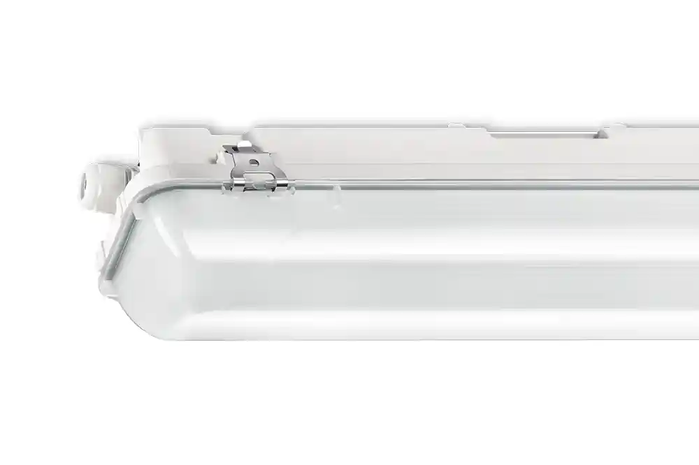 NORTON WDO 84 1 4200LM 1250 RVS-OVL Meest Verkocht