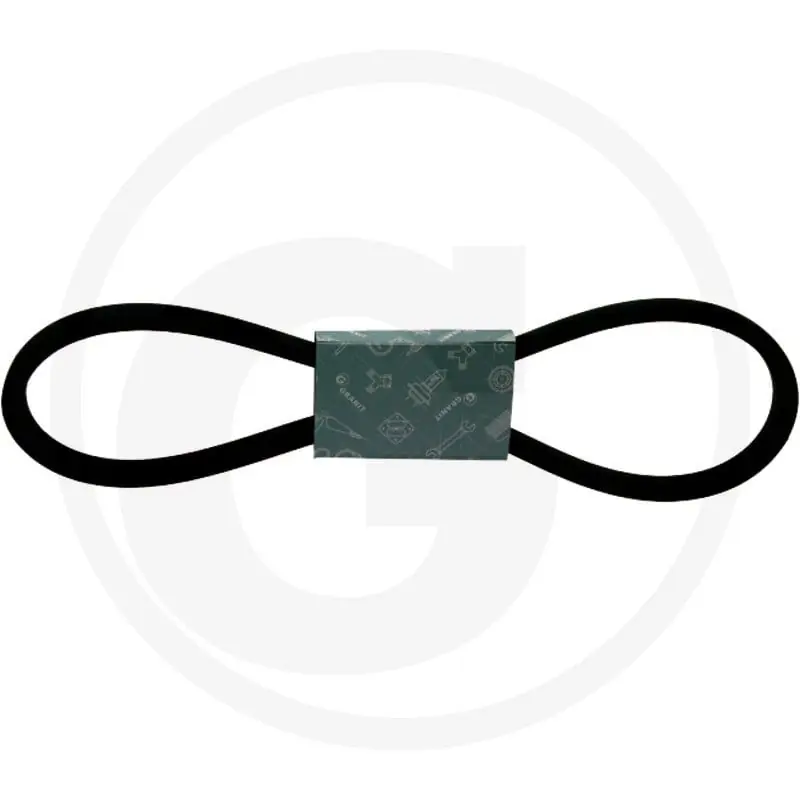 V-snaar 22 x 2159mm (22x14mm) Favoriet