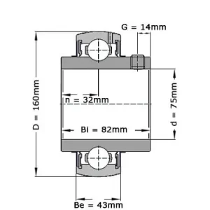 Alleen Vandaag NTN Insert Lager UC315 D1 (75mm)