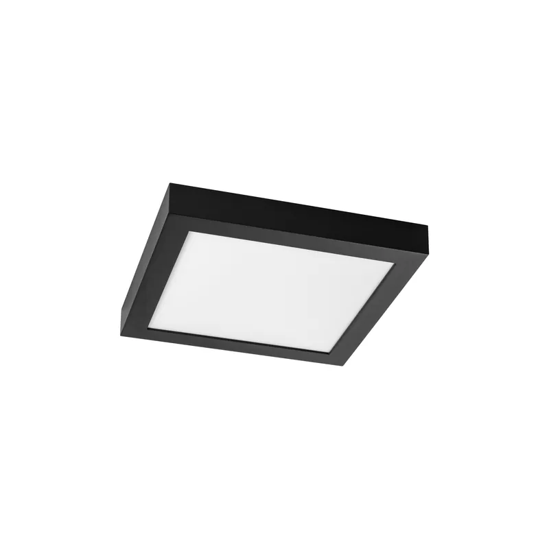 Prolumia Pro-Ceiling 300x300x39mm opbouw, 30W, 2700K, zwart Hoge Kwaliteit