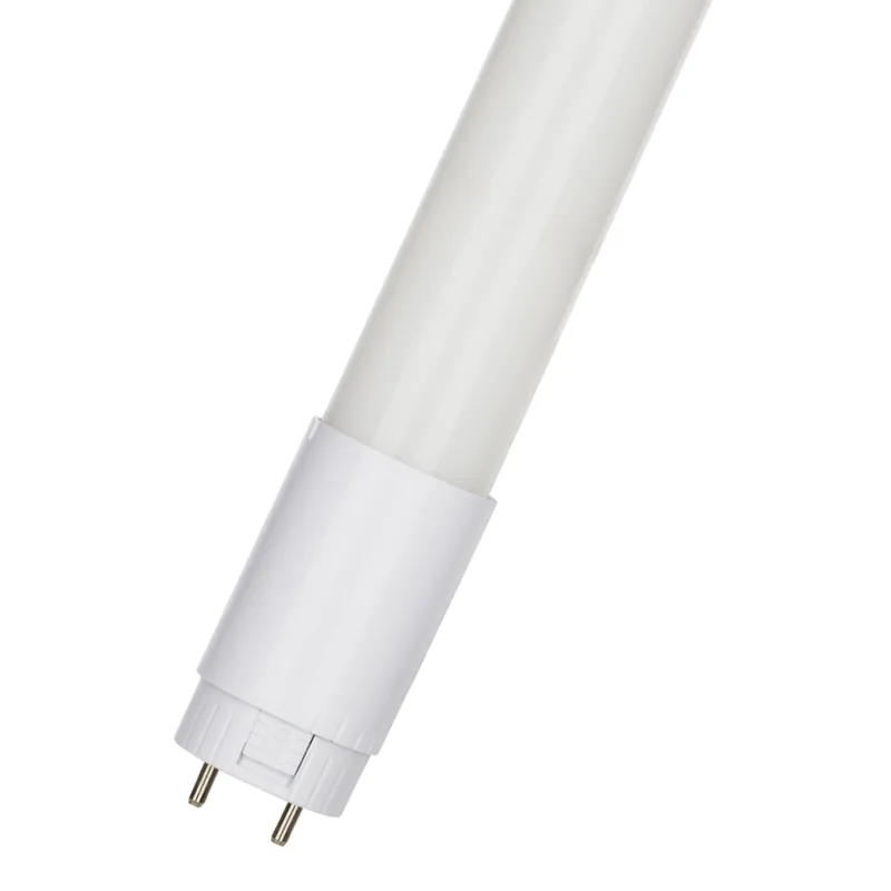 Bailey - ecoplus led tube - T8 24V - 24VDC 1500 20W 840 - TL buis 150cm Bulkbestelling