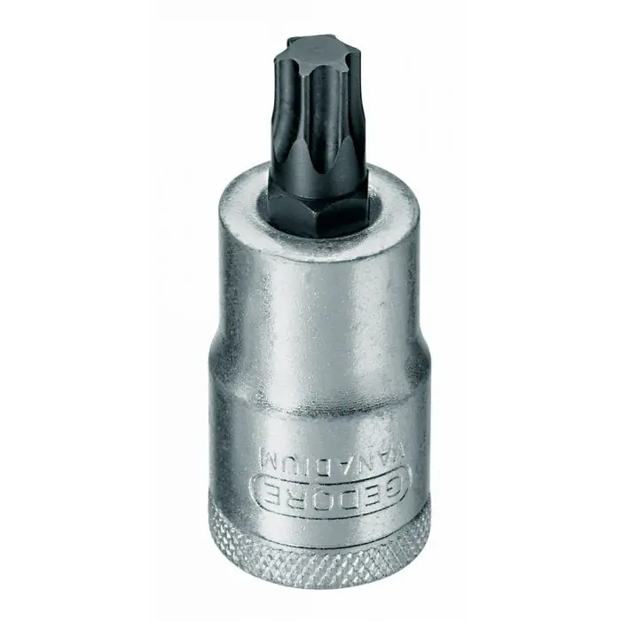 Favoriet Gedore Dopsleutel-schroevendraaier ITX 19 T45 1/2" TX T45
